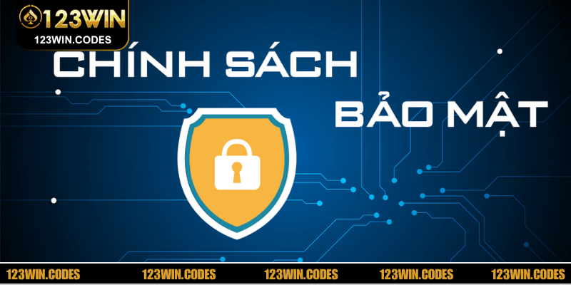 Đôi nét về dữ liệu cơ bản về chính sách bảo mật 123WIN